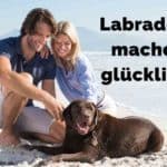 Eine Familie und ihre Labrador am Strand